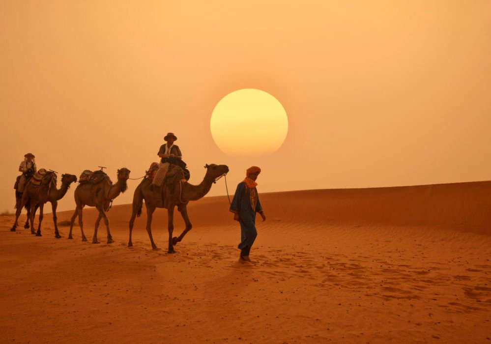 Camel caravan in the Sahara desert.